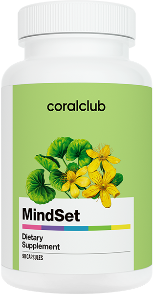 Целевая программа Ментал Форс Плюс